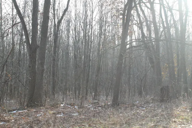 $259,000 | 25500 U-Drive South, Homer, MI 49245