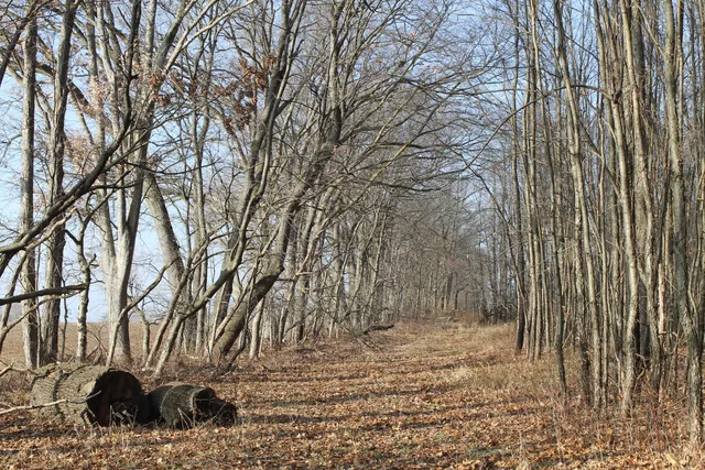 $259,000 | 25500 U-Drive South, Homer, MI 49245