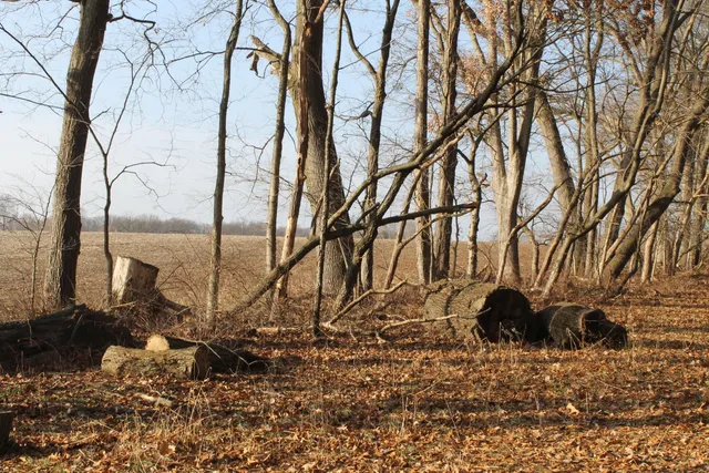 $259,000 | 25500 U-Drive South, Homer, MI 49245