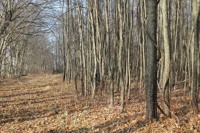 $259,000 | 25500 U-Drive South, Homer, MI 49245