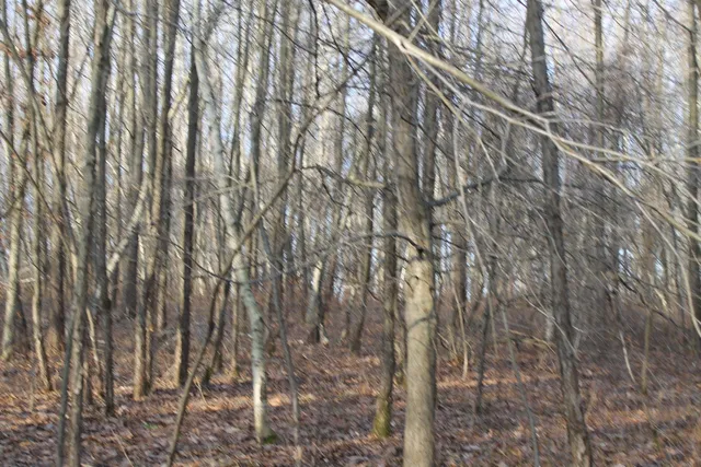 $259,000 | 25500 U-Drive South, Homer, MI 49245