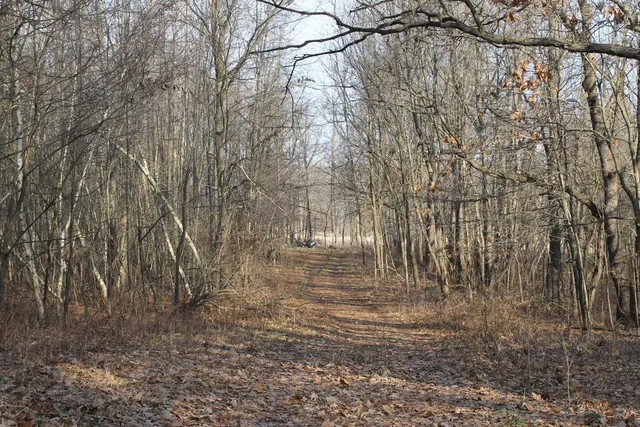 $259,000 | 25500 U-Drive South, Homer, MI 49245