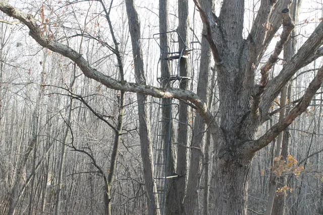 $259,000 | 25500 U-Drive South, Homer, MI 49245