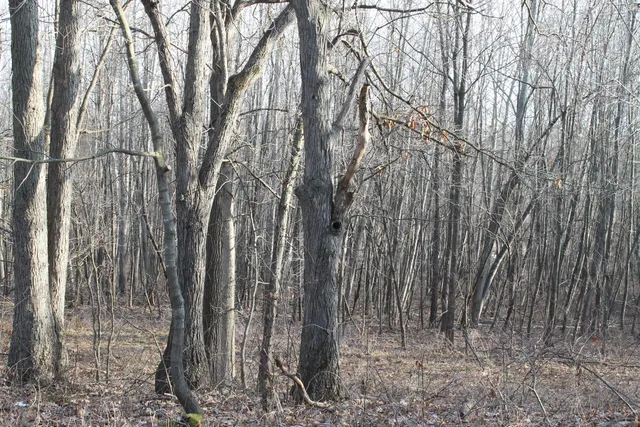 $259,000 | 25500 U-Drive South, Homer, MI 49245