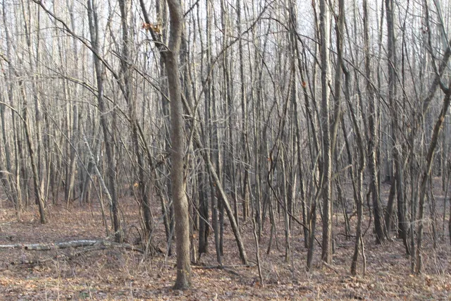 $259,000 | 25500 U-Drive South, Homer, MI 49245