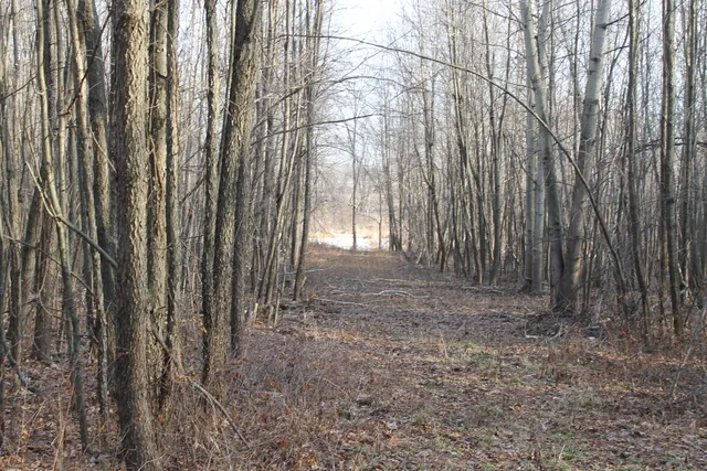 $259,000 | 25500 U-Drive South, Homer, MI 49245