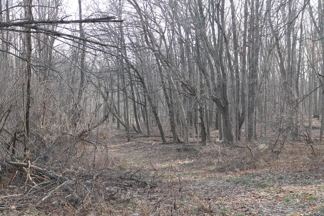 $259,000 | 25500 U-Drive South, Homer, MI 49245