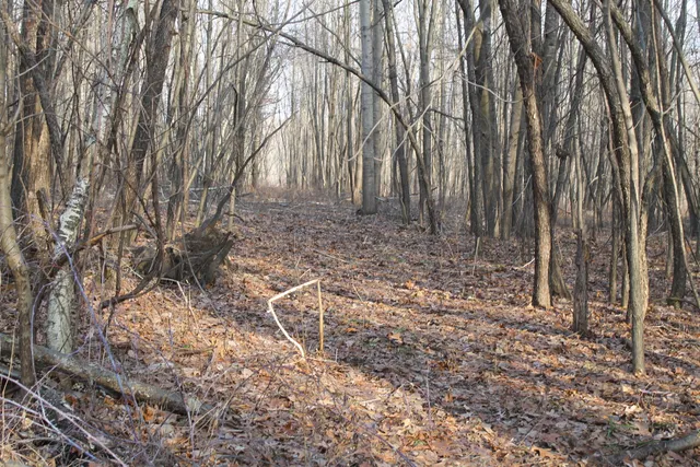 $259,000 | 25500 U-Drive South, Homer, MI 49245