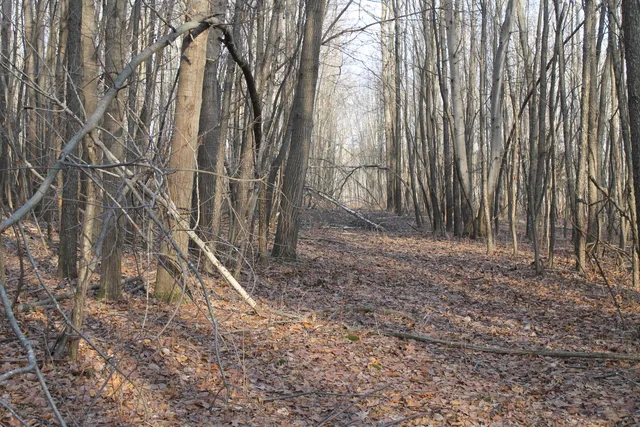 $259,000 | 25500 U-Drive South, Homer, MI 49245