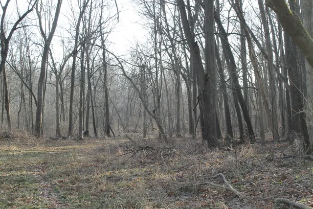 $259,000 | 25500 U-Drive South, Homer, MI 49245