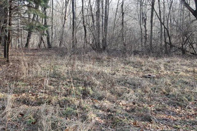 $259,000 | 25500 U-Drive South, Homer, MI 49245