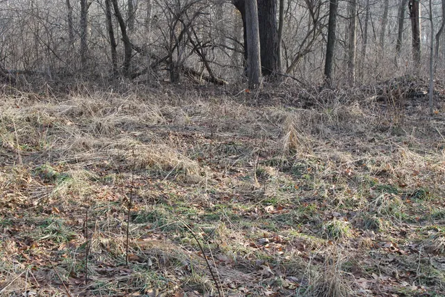 $259,000 | 25500 U-Drive South, Homer, MI 49245