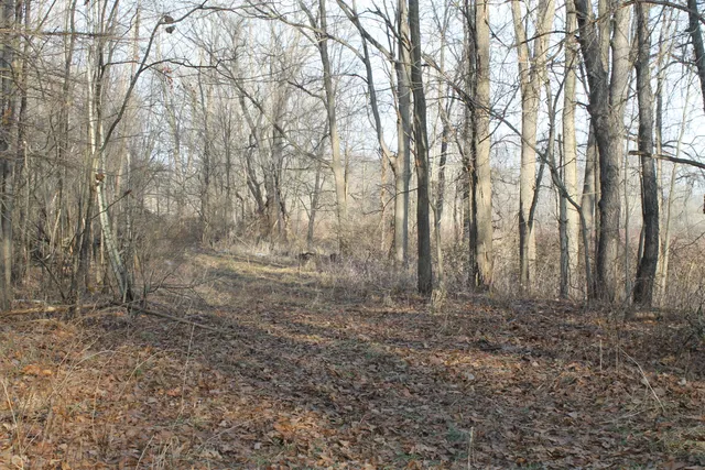 $259,000 | 25500 U-Drive South, Homer, MI 49245