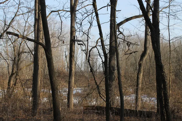 $259,000 | 25500 U-Drive South, Homer, MI 49245