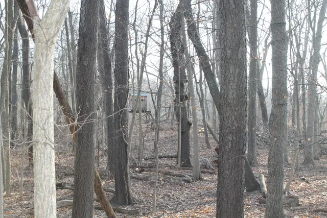 $259,000 | 25500 U-Drive South, Homer, MI 49245