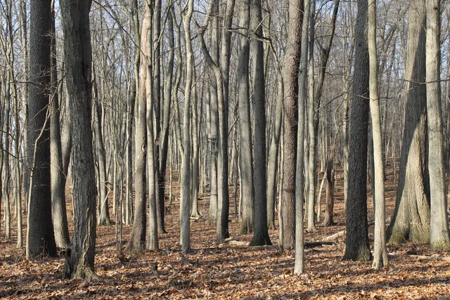 $259,000 | 25500 U-Drive South, Homer, MI 49245