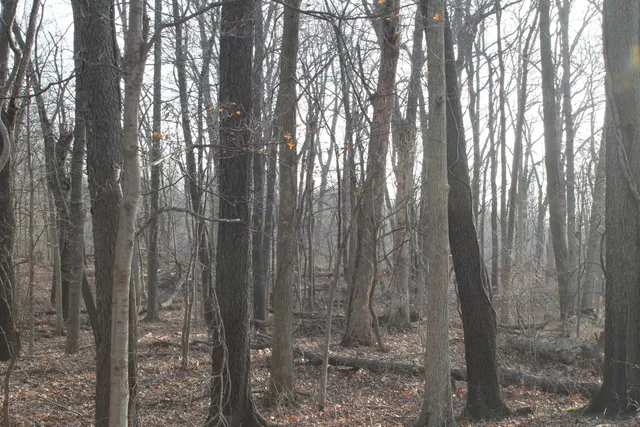 $259,000 | 25500 U-Drive South, Homer, MI 49245