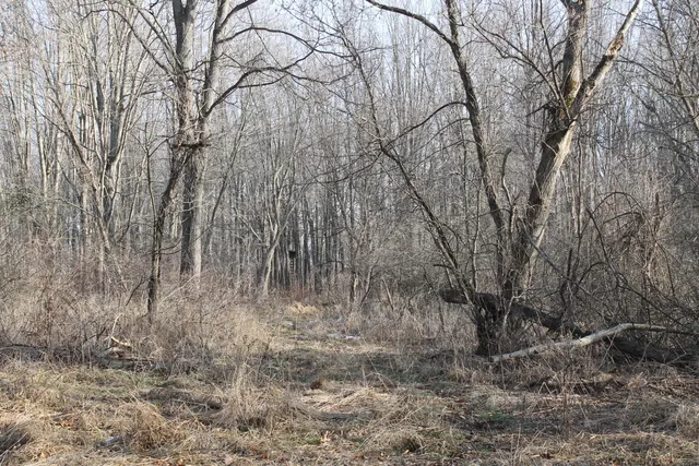 $259,000 | 25500 U-Drive South, Homer, MI 49245