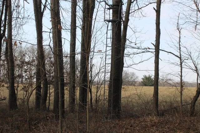 $259,000 | 25500 U-Drive South, Homer, MI 49245