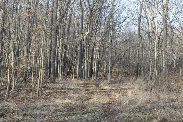 $259,000 | 25500 U-Drive South, Homer, MI 49245