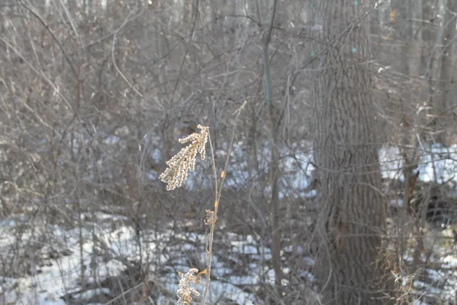 $259,000 | 25500 U-Drive South, Homer, MI 49245