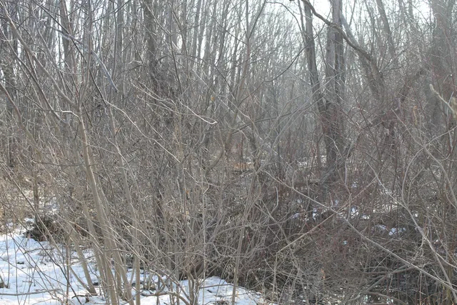 $259,000 | 25500 U-Drive South, Homer, MI 49245