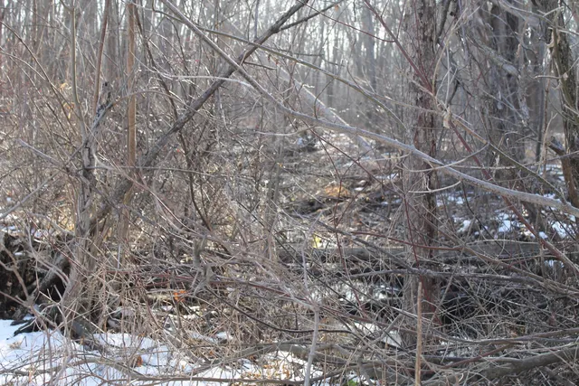 $259,000 | 25500 U-Drive South, Homer, MI 49245