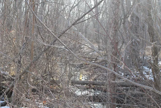 $259,000 | 25500 U-Drive South, Homer, MI 49245