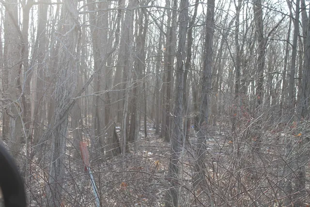 $259,000 | 25500 U-Drive South, Homer, MI 49245