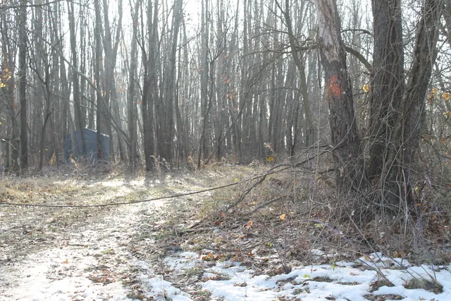 $259,000 | 25500 U-Drive South, Homer, MI 49245