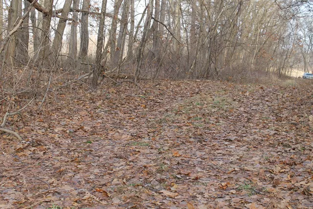 $259,000 | 25500 U-Drive South, Homer, MI 49245