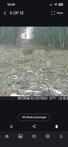 $259,000 | 25500 U-Drive South, Homer, MI 49245