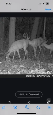 $259,000 | 25500 U-Drive South, Homer, MI 49245