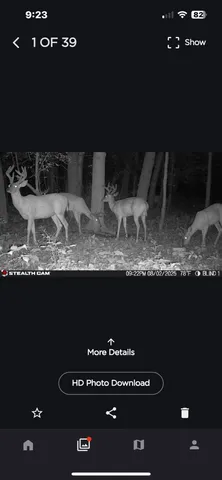 $259,000 | 25500 U-Drive South, Homer, MI 49245