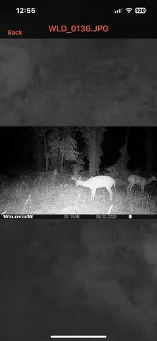 $259,000 | 25500 U-Drive South, Homer, MI 49245