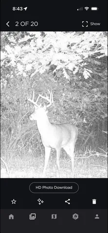 $259,000 | 25500 U-Drive South, Homer, MI 49245