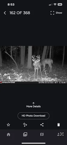 $259,000 | 25500 U-Drive South, Homer, MI 49245