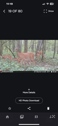 $259,000 | 25500 U-Drive South, Homer, MI 49245