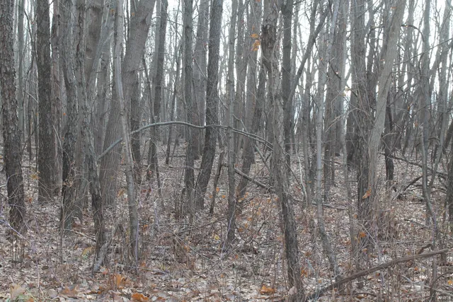 $259,000 | 25500 U-Drive South, Homer, MI 49245