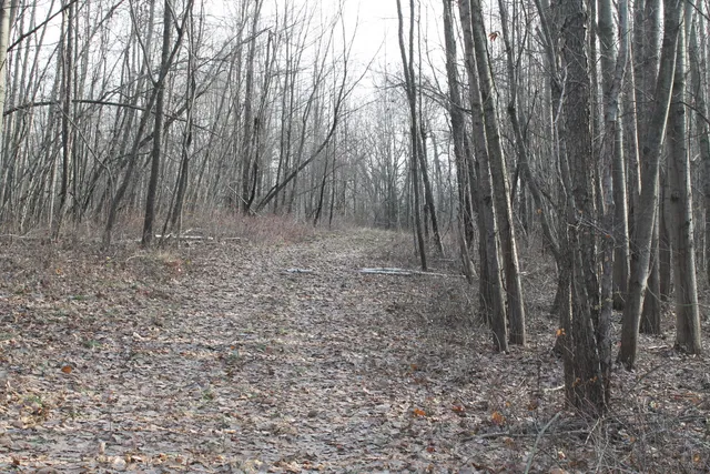 $259,000 | 25500 U-Drive South, Homer, MI 49245