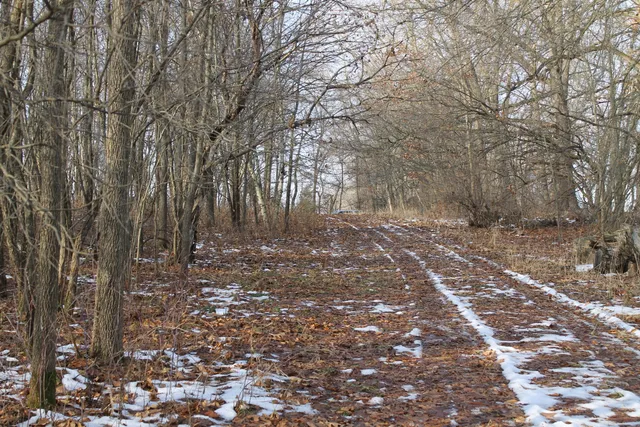 $259,000 | 25500 U-Drive South, Homer, MI 49245