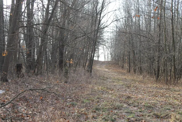 $259,000 | 25500 U-Drive South, Homer, MI 49245