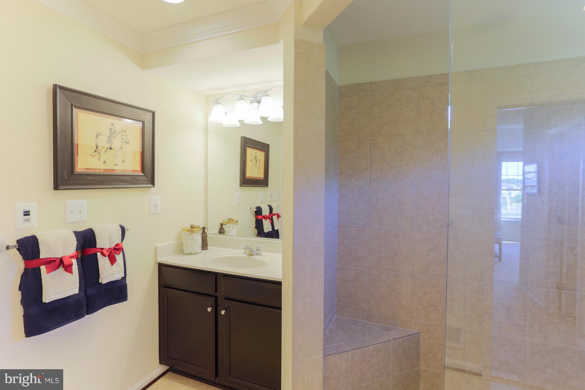 8111 Ridgely Loop Severn, MD 21144 - Photo 28 of 30 Bath (Master)