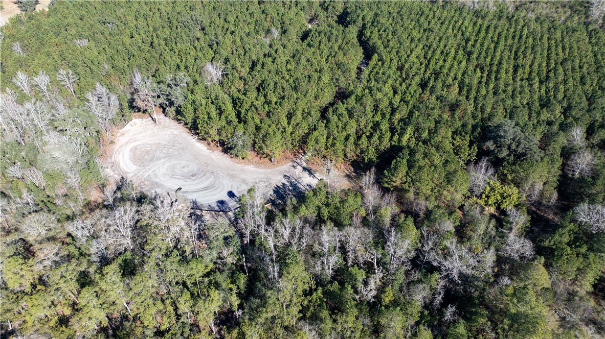30.46-acres Minton Road Townsend, GA 31331 - Photo 11 of 22