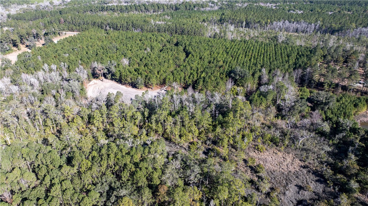 30.46-acres Minton Road Townsend, GA 31331 - Photo 12 of 22