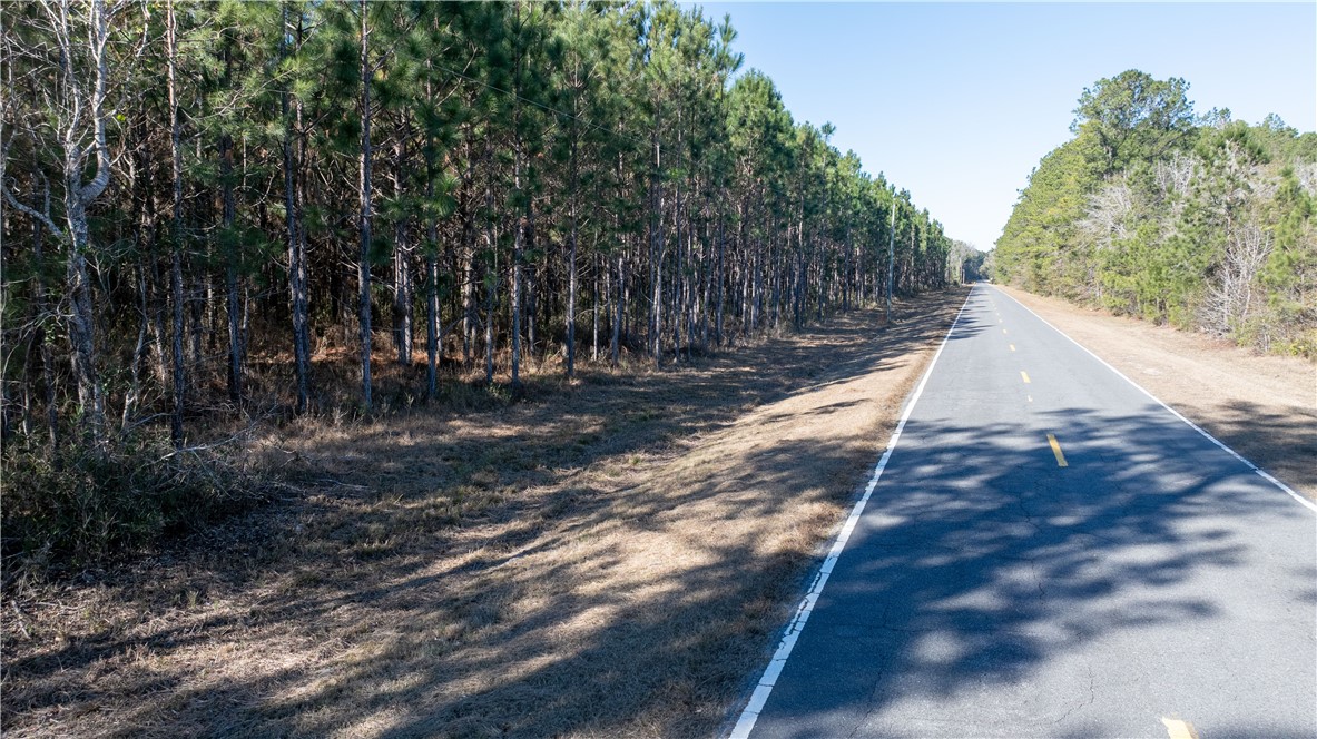 30.46-acres Minton Road Townsend, GA 31331 - Photo 14 of 22