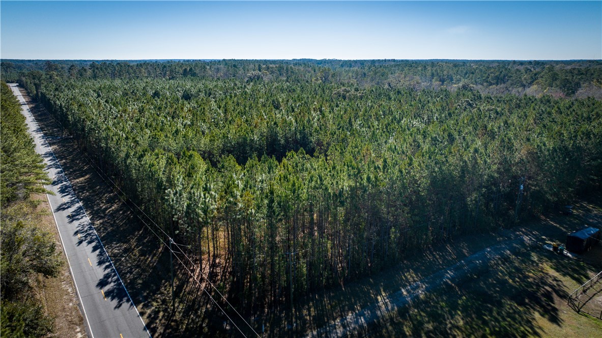30.46-acres Minton Road Townsend, GA 31331 - Photo 17 of 22