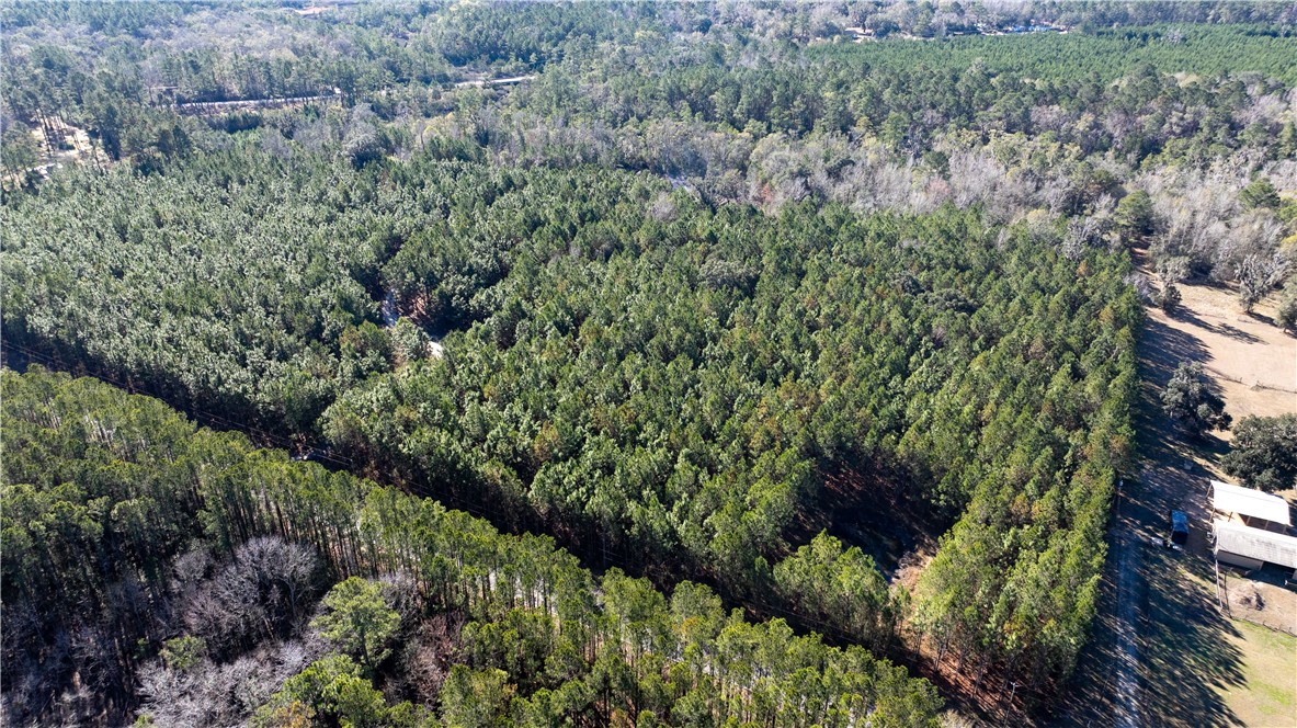 30.46-acres Minton Road Townsend, GA 31331 - Photo 18 of 22