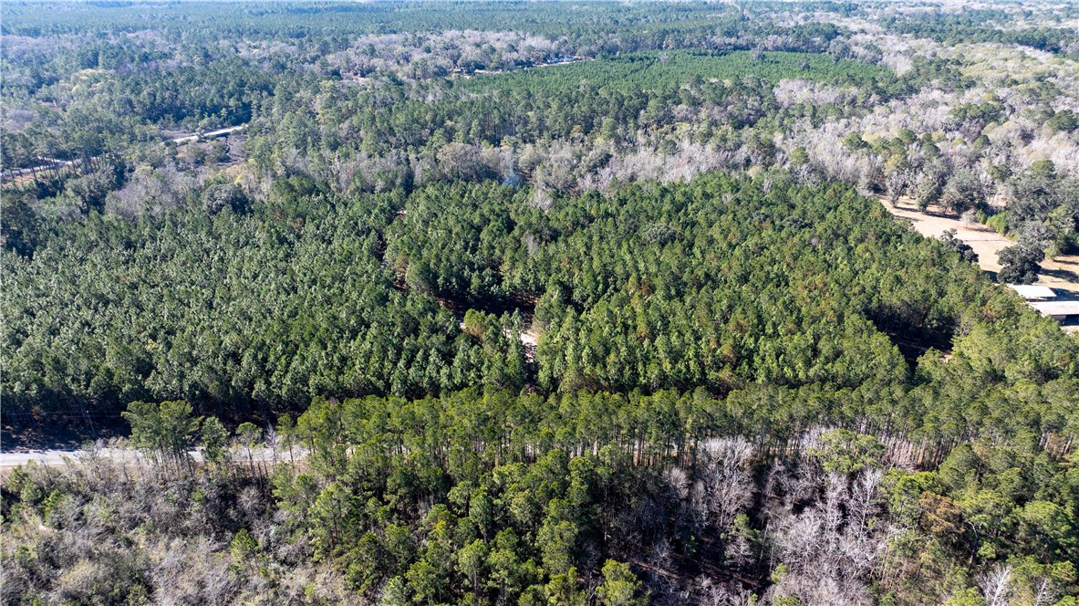 30.46-acres Minton Road Townsend, GA 31331 - Photo 19 of 22