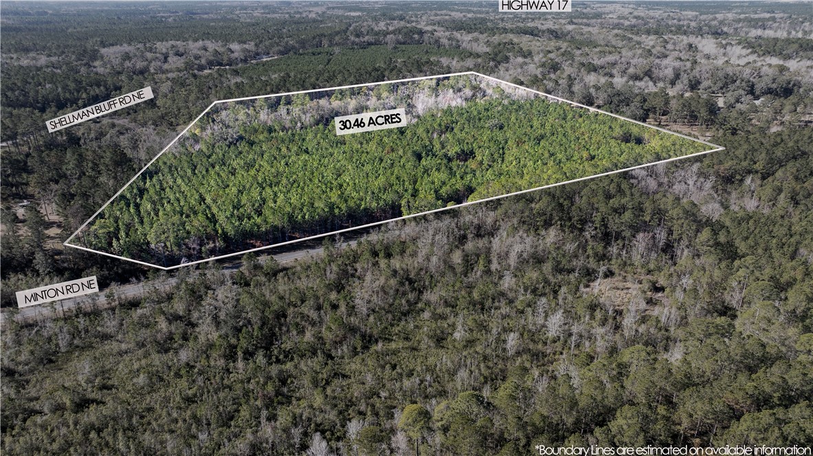 30.46-acres Minton Road Townsend, GA 31331 - Photo 20 of 22